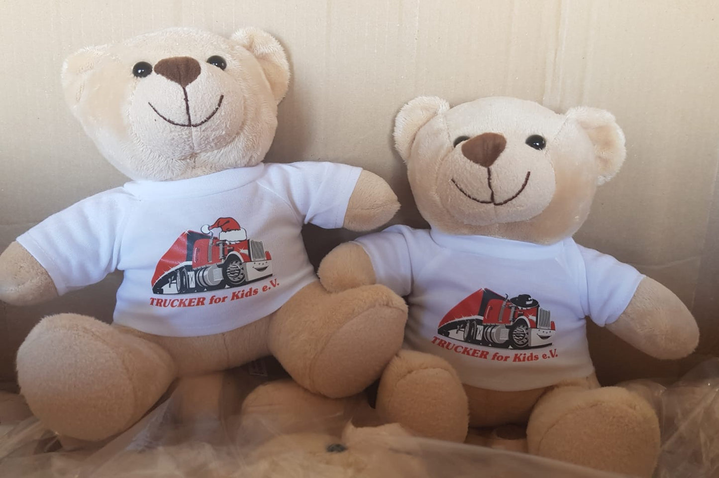 Vereins – Teddy